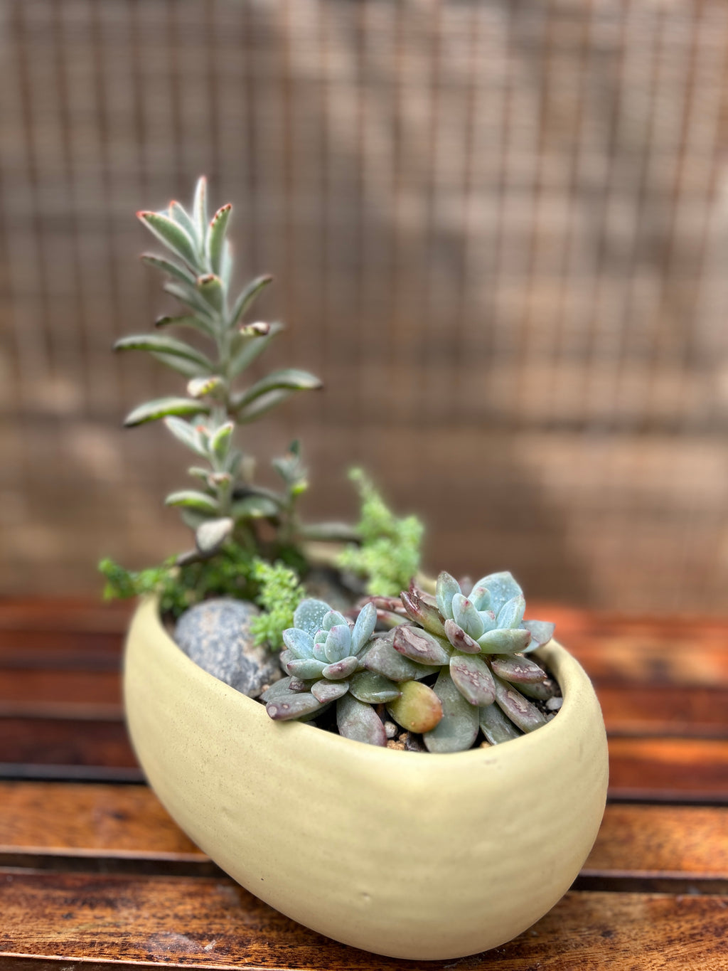 Rustic Succulent Basket