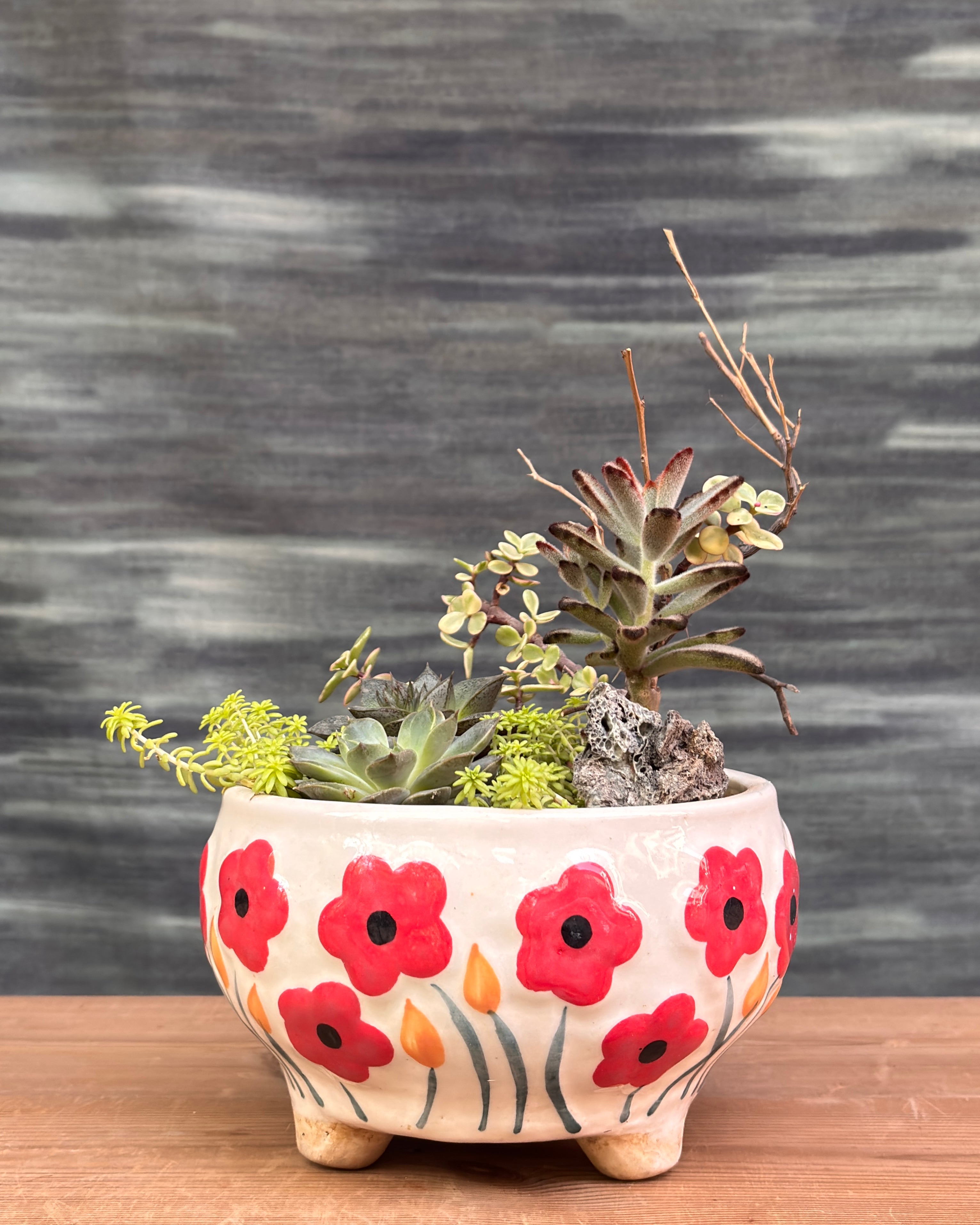 Charm Succulent Bowl