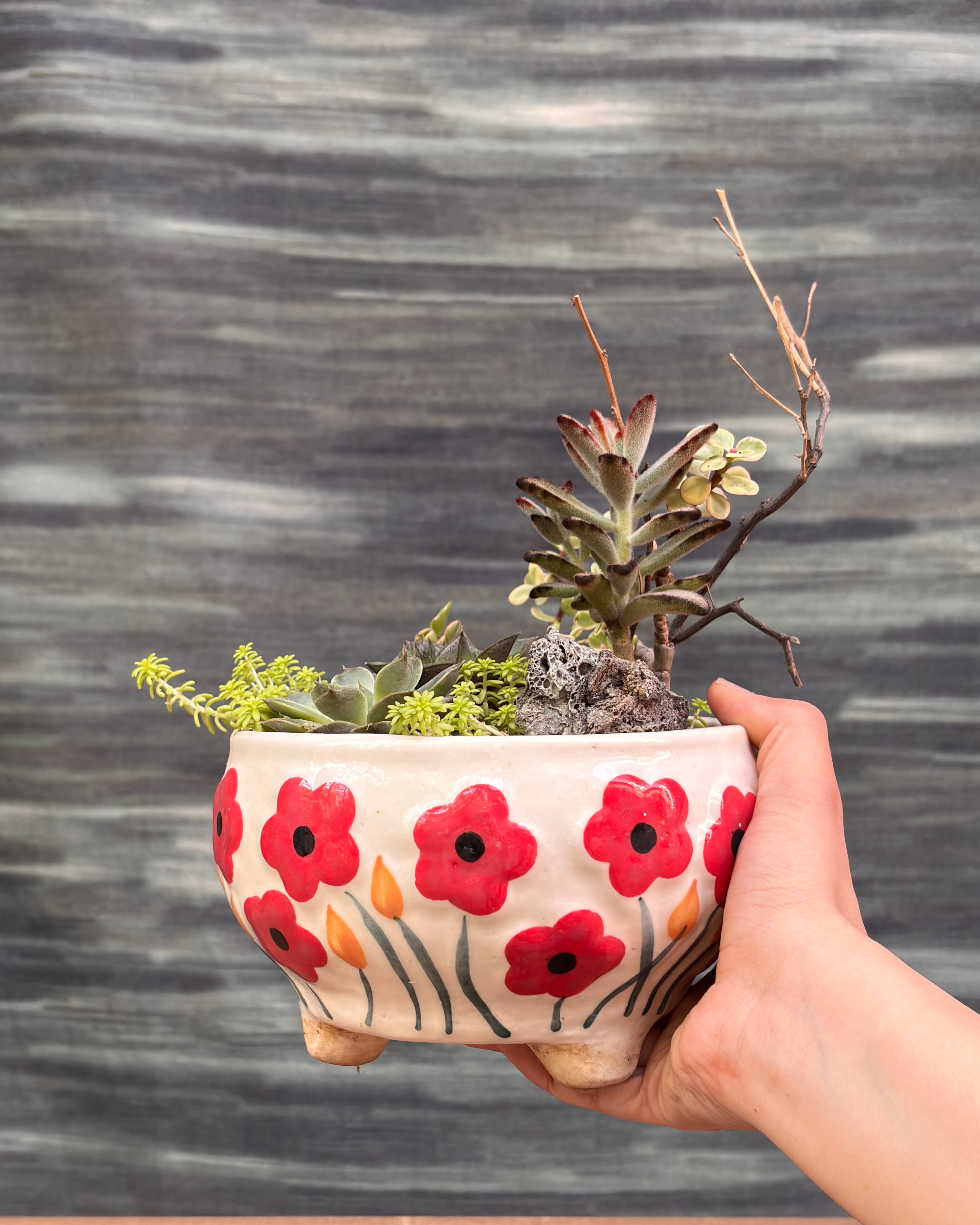 Charm Succulent Bowl
