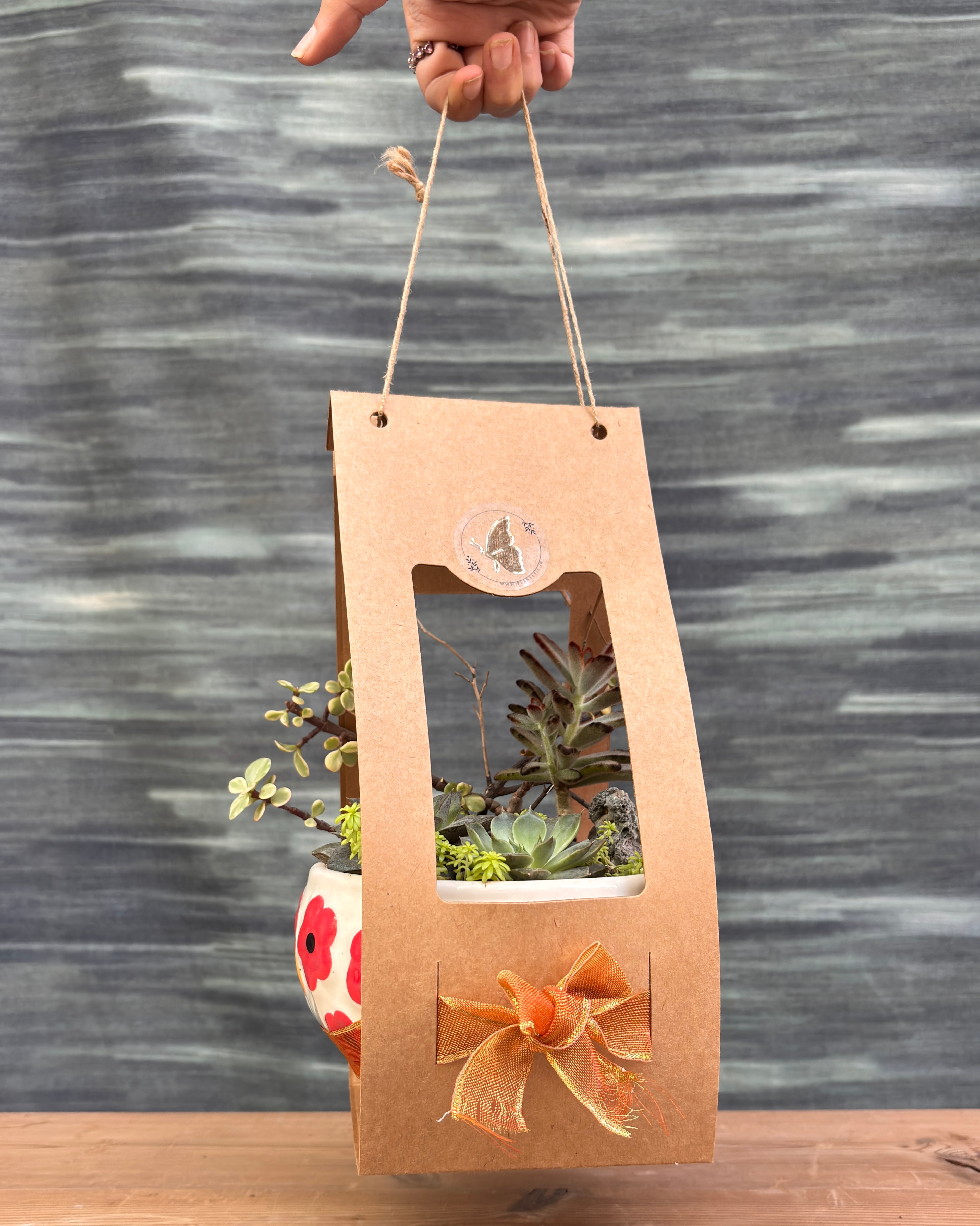 Charm Succulent Bowl