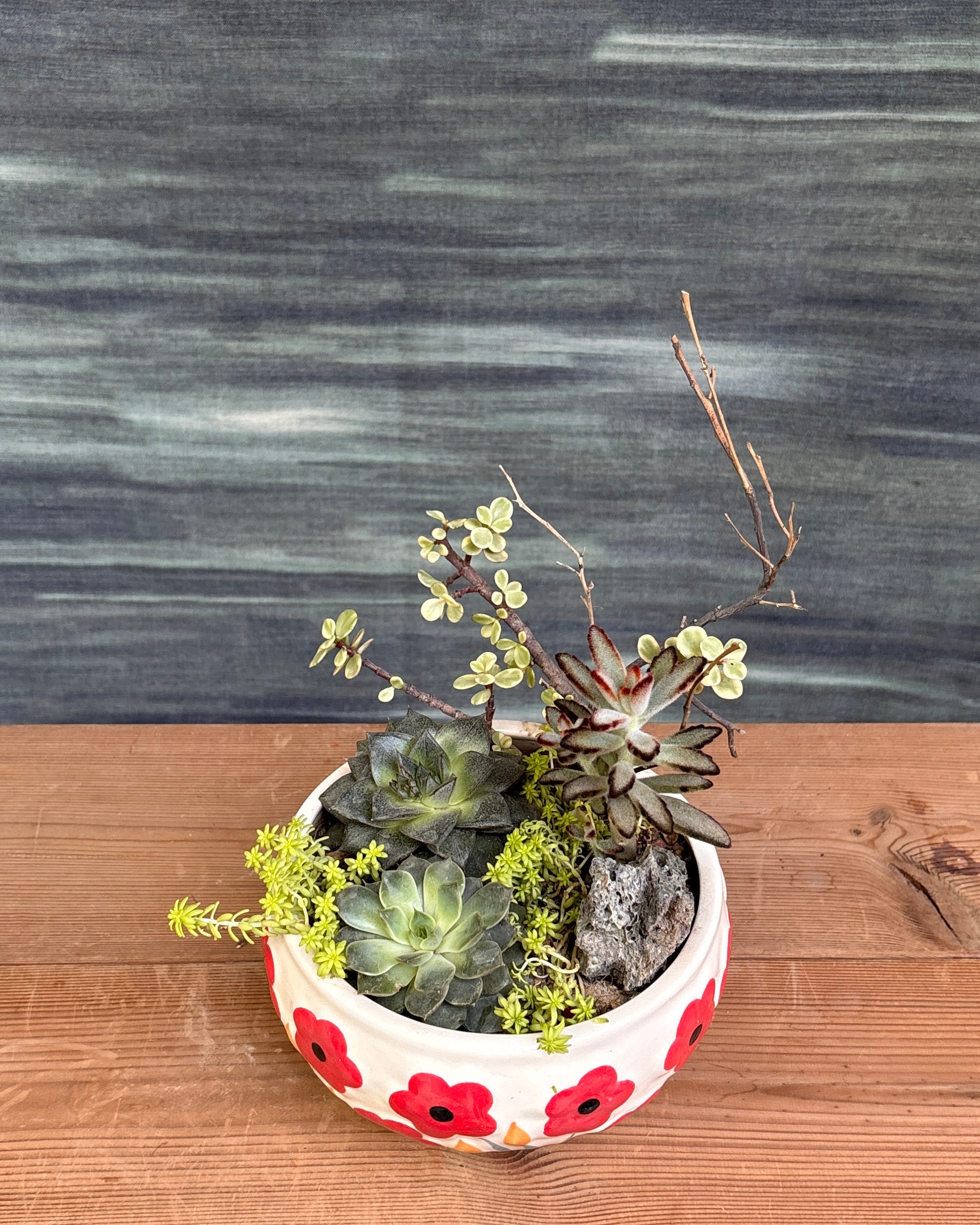 Charm Succulent Bowl