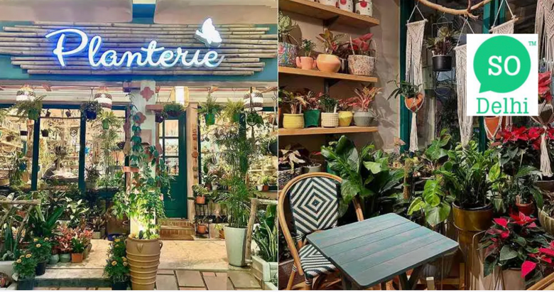 This Plant Cafe Called Planterie In Delhi Is Basically A Green Haven For All Nature Lovers! - SO DELHI