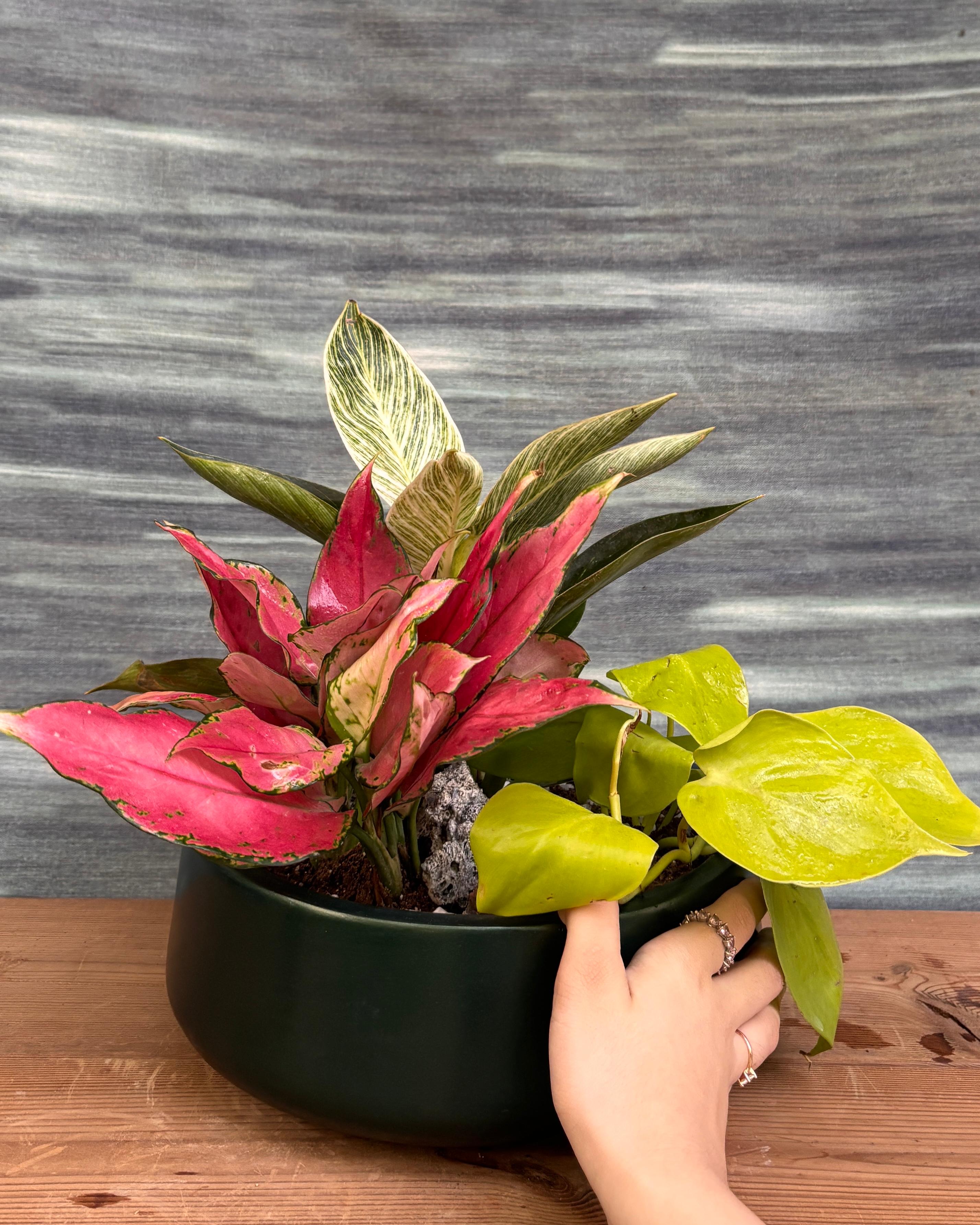 Color Pop Trio in Fibre