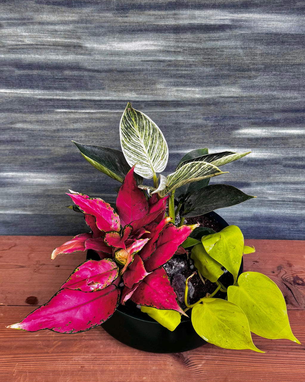 Color Pop Trio in Fibre