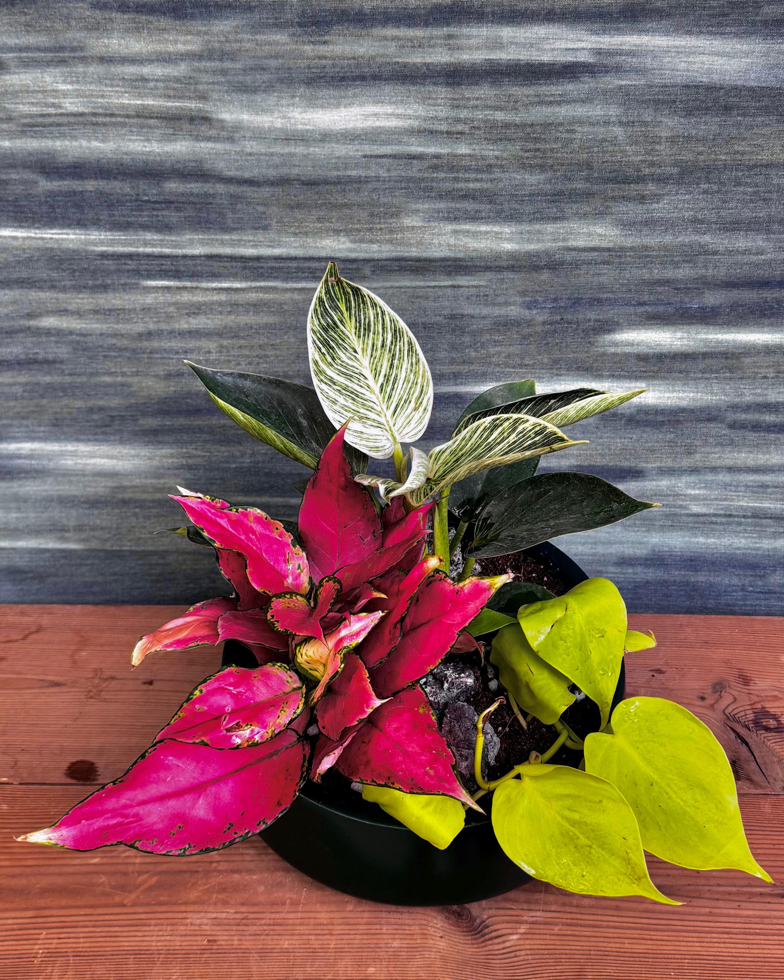 Color Pop Trio in Fibre