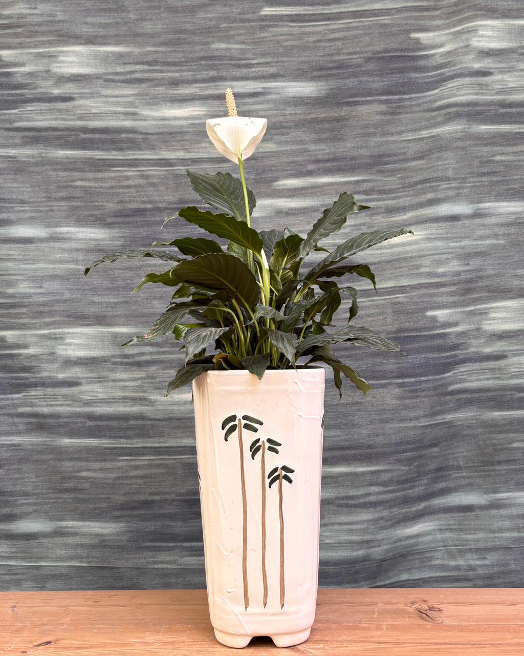 Peace Lily in Palm Tower