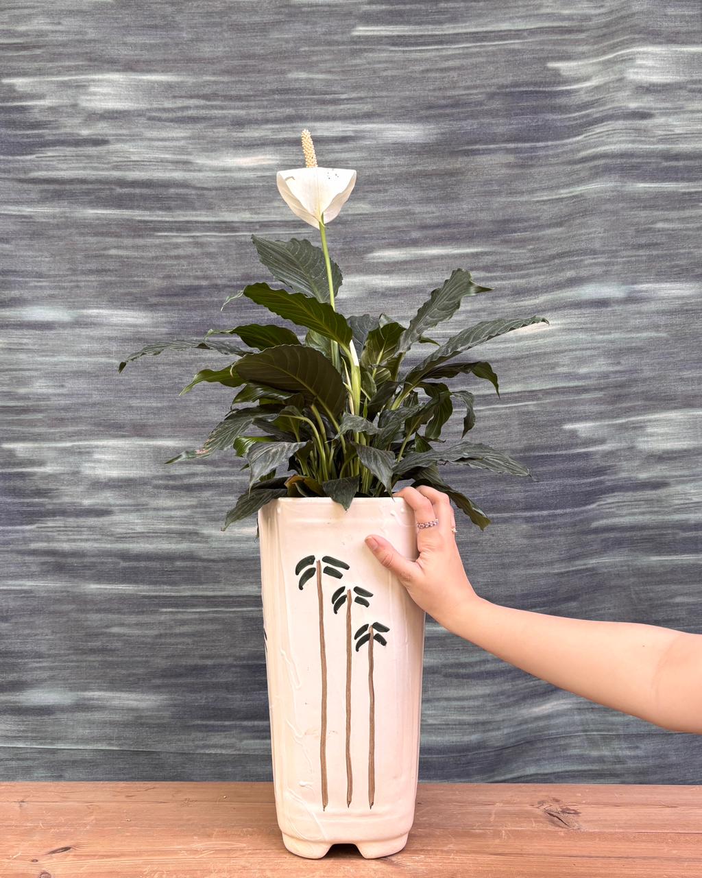 Peace Lily in Palm Tower