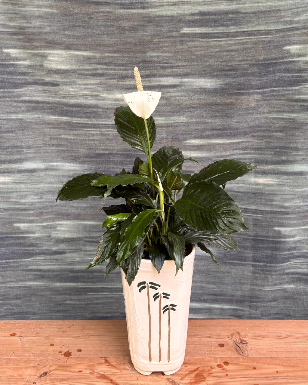 Peace Lily in Palm Tower