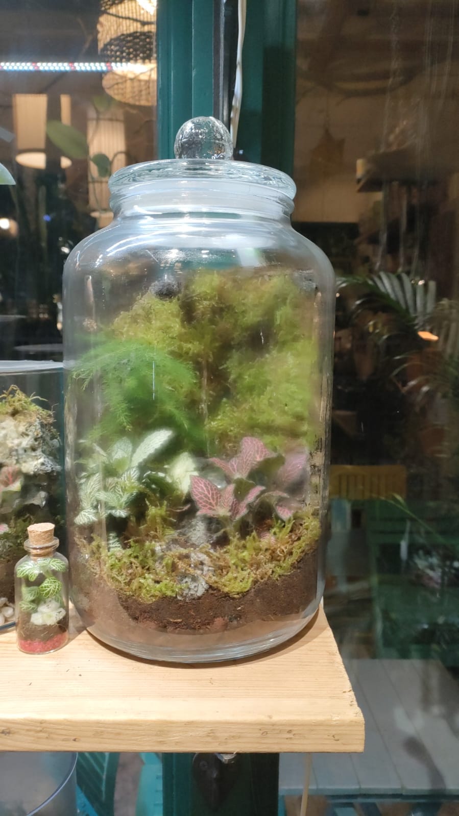 Terrarium Container - Pickle Jar - 7x12inch