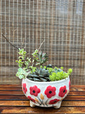 Charm Succulent Bowl