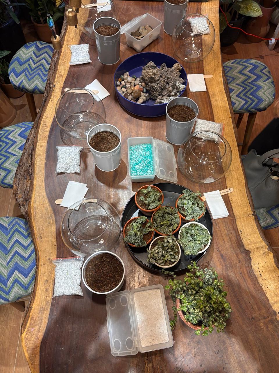 DIY Terrarium - Reserve Slot (all days)