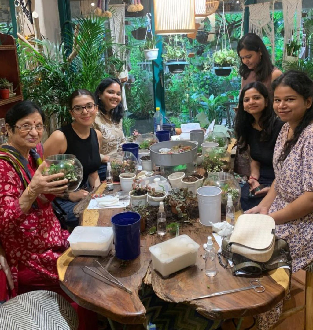 Private Group Terrarium - Reserve Slot (4+ people | all days)