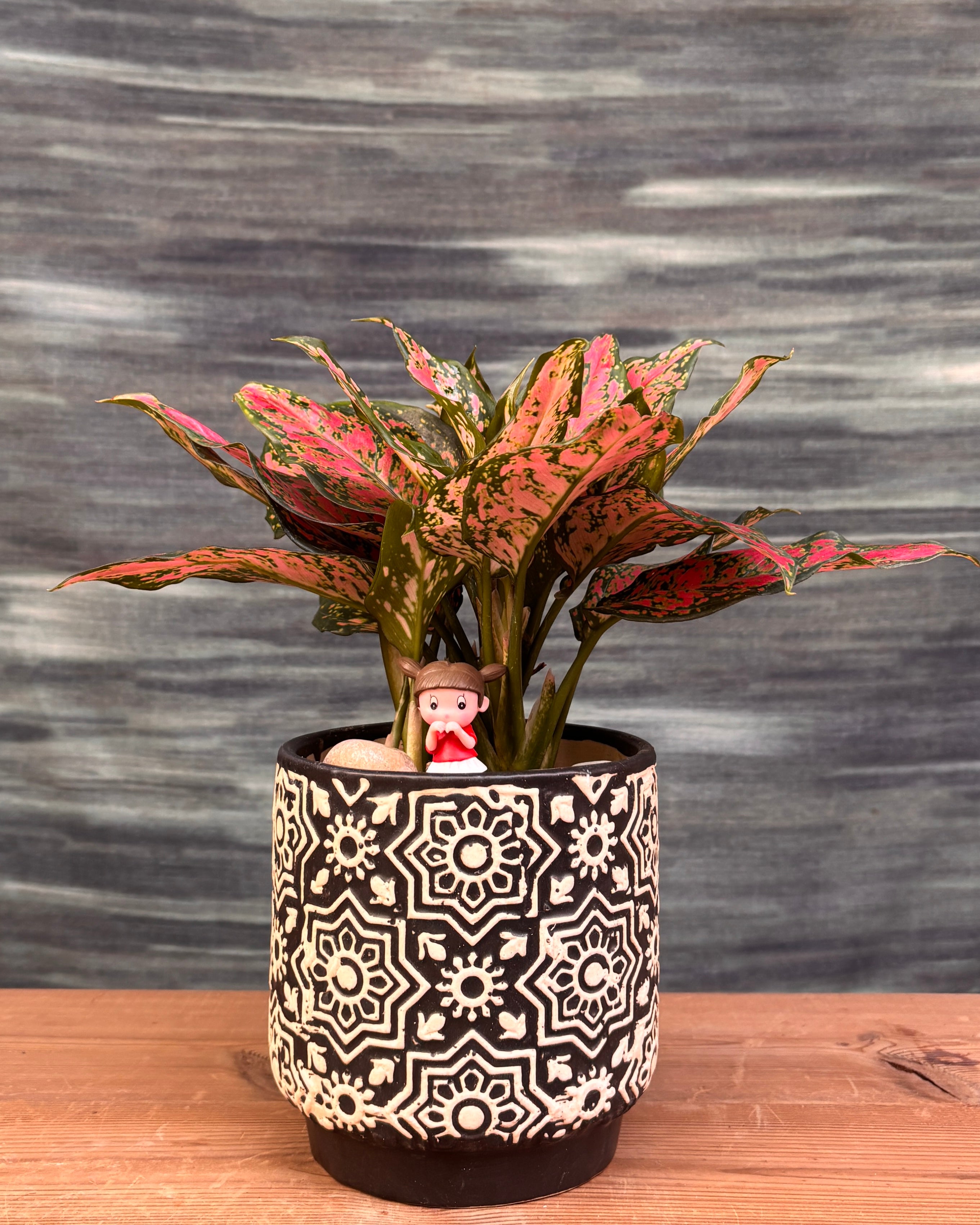 Aglaonema Angel in Black Blockprint