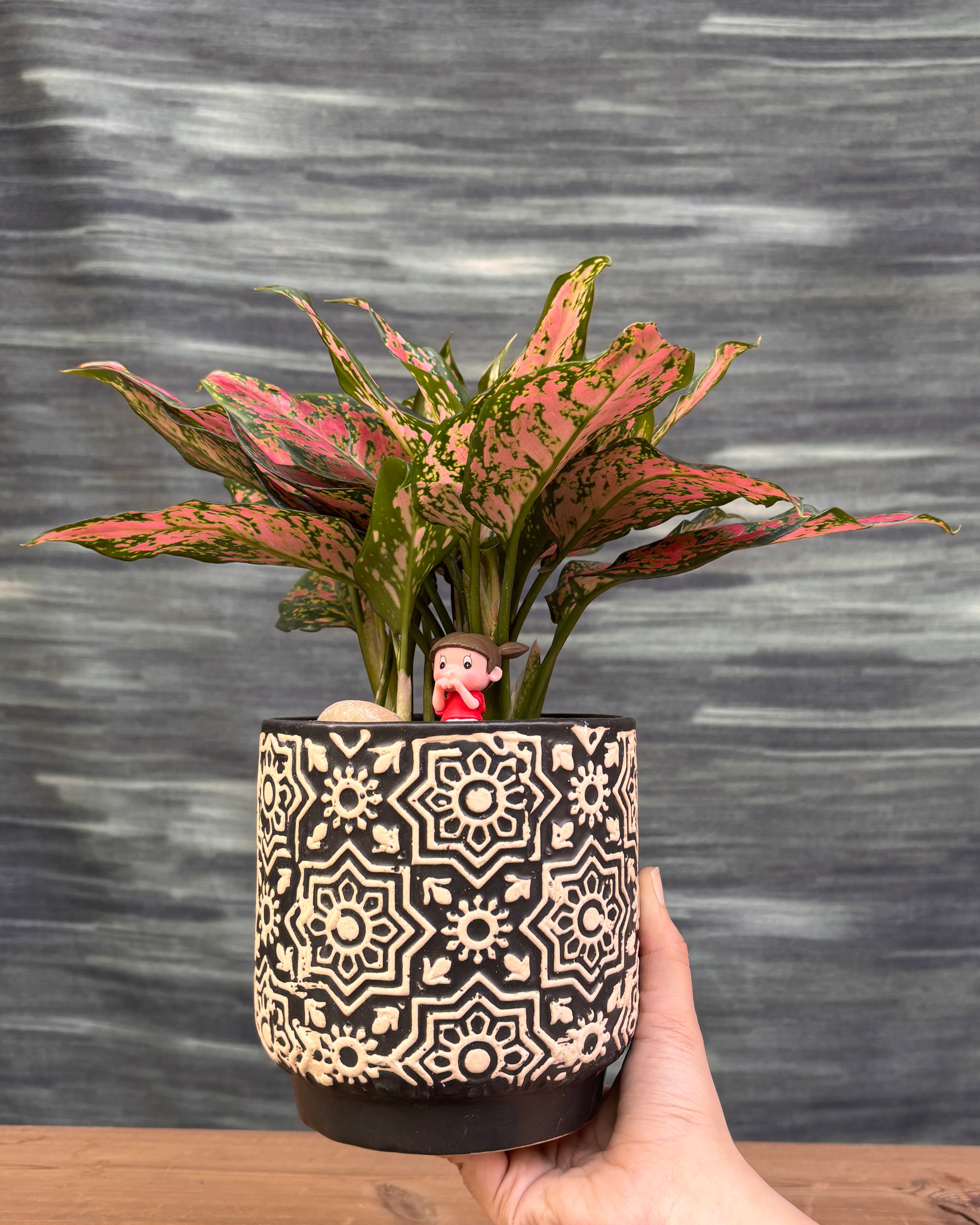 Aglaonema Angel in Black Blockprint