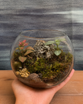 Canopy Whisper Terrarium