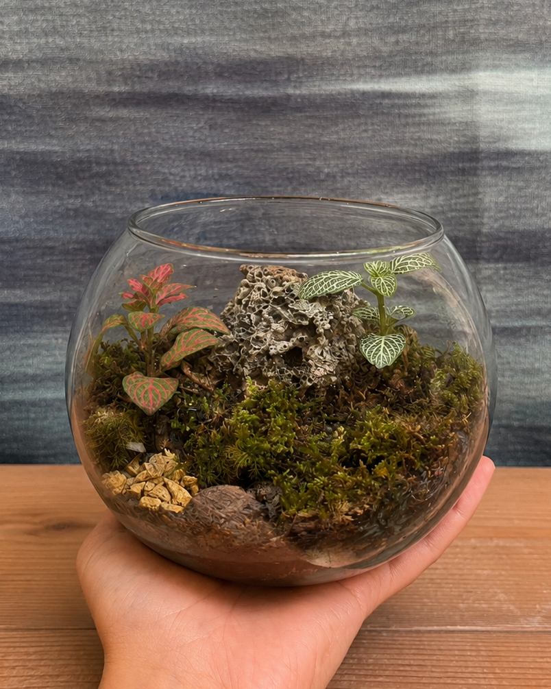 Canopy Whisper Terrarium