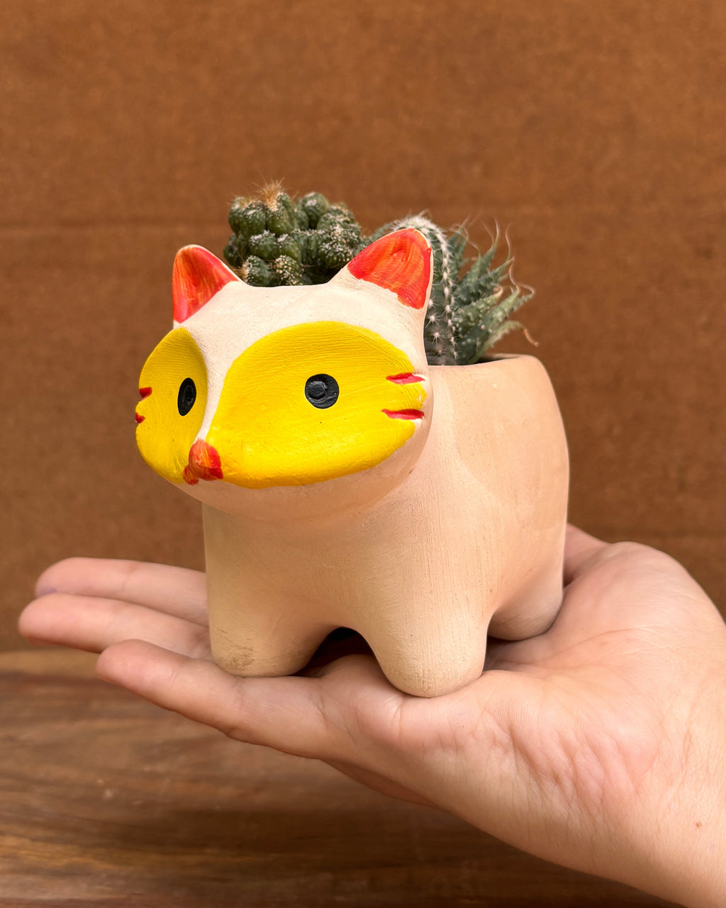 Curated succulents perfect for indoor plant gifts for housewarming and corporate plant gifting in Delhi NCR for World Environment Day