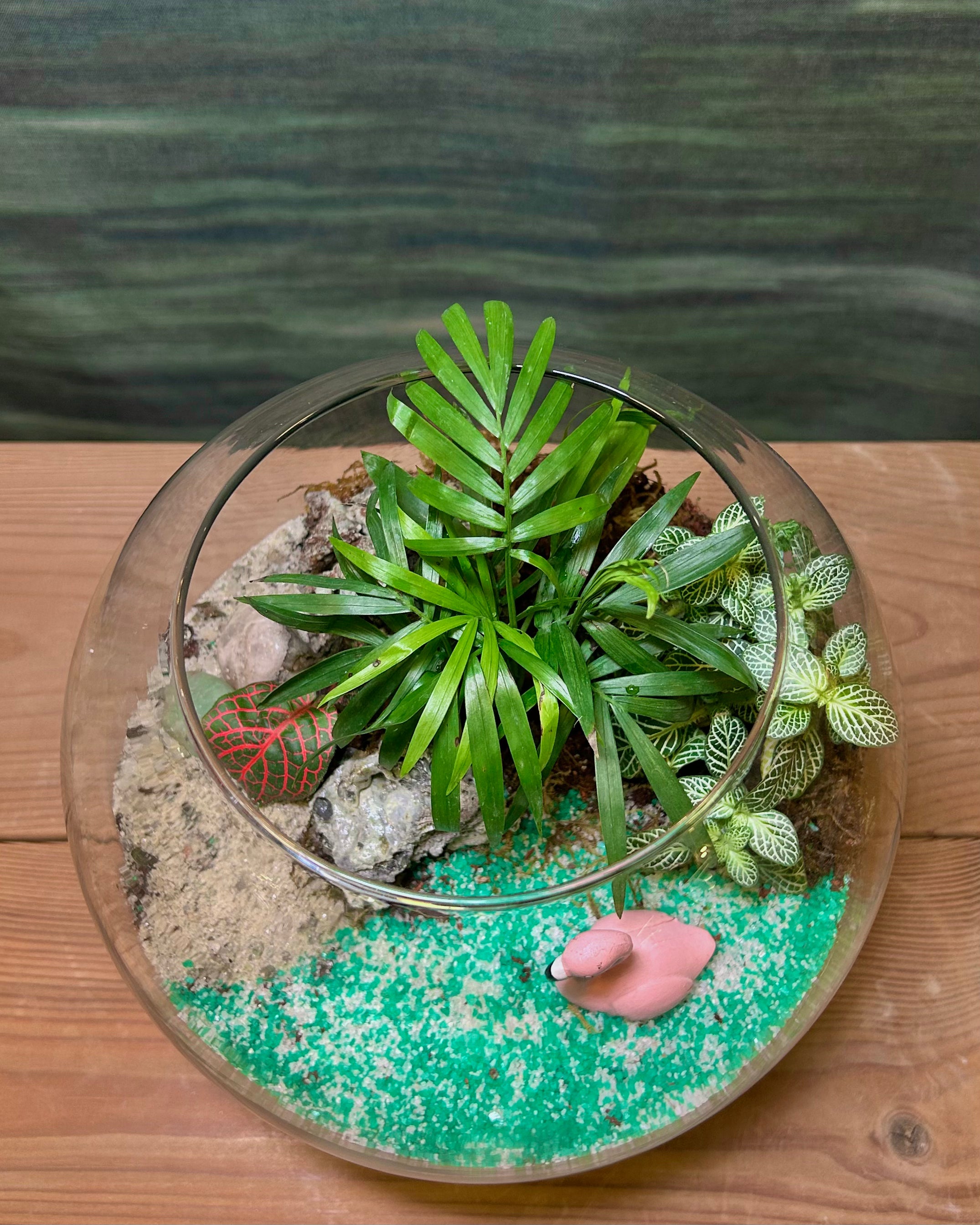 Palm Oasis