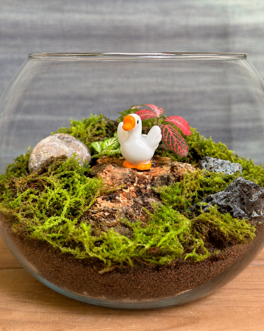 Glass Baby Swan Fish Bowl terrarium from Planterie, available as indoor plants online India and terrarium gifts India, perfect for plant gifting in Delhi, custom terrarium gifts in Delhi, premium plant gifts in India and bulk terrarium gifts for events in Delhi