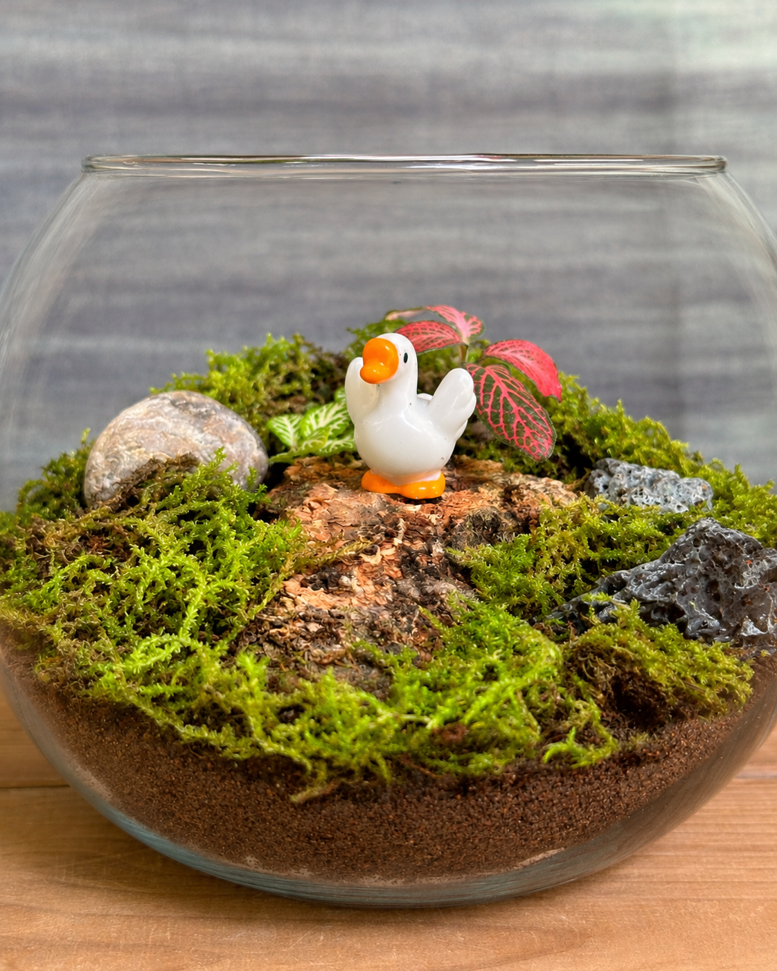 Glass Baby Swan Fish Bowl terrarium from Planterie, available as indoor plants online India and terrarium gifts India, perfect for plant gifting in Delhi, custom terrarium gifts in Delhi, premium plant gifts in India and bulk terrarium gifts for events in Delhi