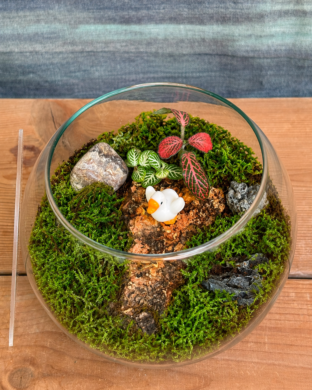 Handcrafted Baby Swan Fish Bowl terrarium from Planterie plant studio in Delhi, an elegant and whimsical décor piece with a charming baby swan figurine ideal as glass terrarium for gifting, tabletop plants for gifting, indoor plants for gifting and a heartfelt gift for nature lovers and terrarium enthusiasts in Delhi