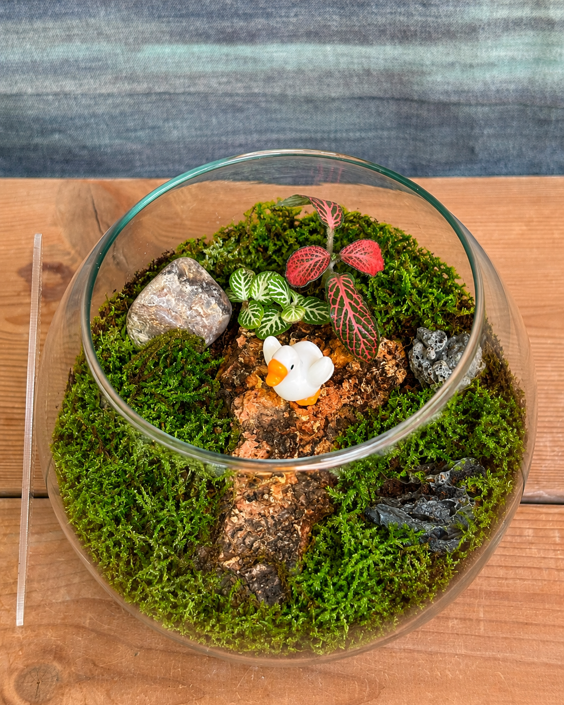 Handcrafted Baby Swan Fish Bowl terrarium from Planterie plant studio in Delhi, an elegant and whimsical décor piece with a charming baby swan figurine ideal as glass terrarium for gifting, tabletop plants for gifting, indoor plants for gifting and a heartfelt gift for nature lovers and terrarium enthusiasts in Delhi