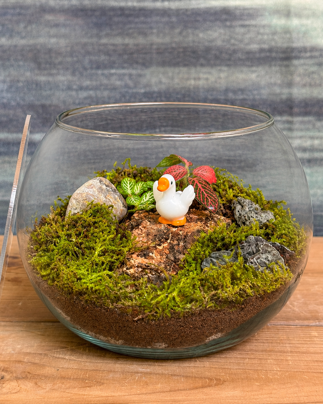 Baby Swan Terrarium from Planterie, a delicate miniature scene featuring a graceful baby swan figurine nestled among soft moss, pebbles, and lush greenery within a Fish Bowl glass enclosure, creating a cozy indoor desktop micro-garden, perfect as terrarium in Delhi for plant gifts in Delhi, desktop indoor plants and plant gifting near me Delhi
