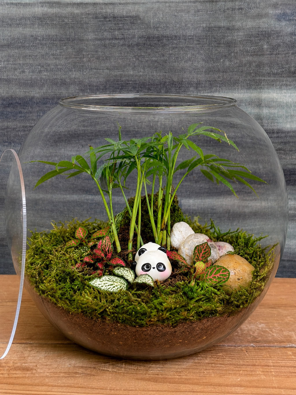 Handcrafted Bamboo Panda Sanctuary Drum terrarium from Planterie plant studio in Delhi, a unique glass micro-garden with charming panda and dwarf palm miniatures ideal as glass terrarium for gifting, tabletop plants for gifting, indoor plants for gifting and indoor plant gifts for housewarming in Delhi
