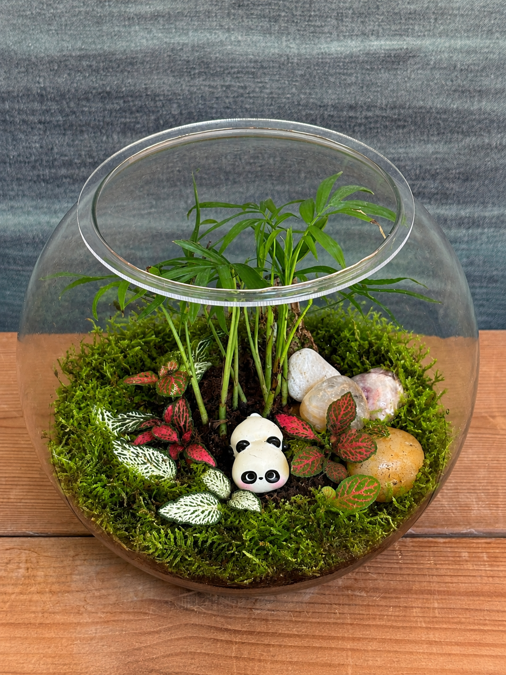 Bamboo Panda Sanctuary Terrarium with panda and dwarf palm from Planterie, perfect for plant styling ideas for small Delhi apartments, centre table plant arrangement in Delhi and minimal plant arrangements for modern homes, with how to keep indoor plants alive in India and how to care for terrarium in Indian weather with Plant care tips India