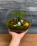 Bamboo Panda Sanctuary Terrarium from Planterie, a miniature glass terrarium with a tiny panda figurine, dwarf drum palm and pebbles arranged to look like a sanctuary, shown being held in one hand to display the compact size, perfect as a desk or shelf terrarium gift for homes and offices in Delhi