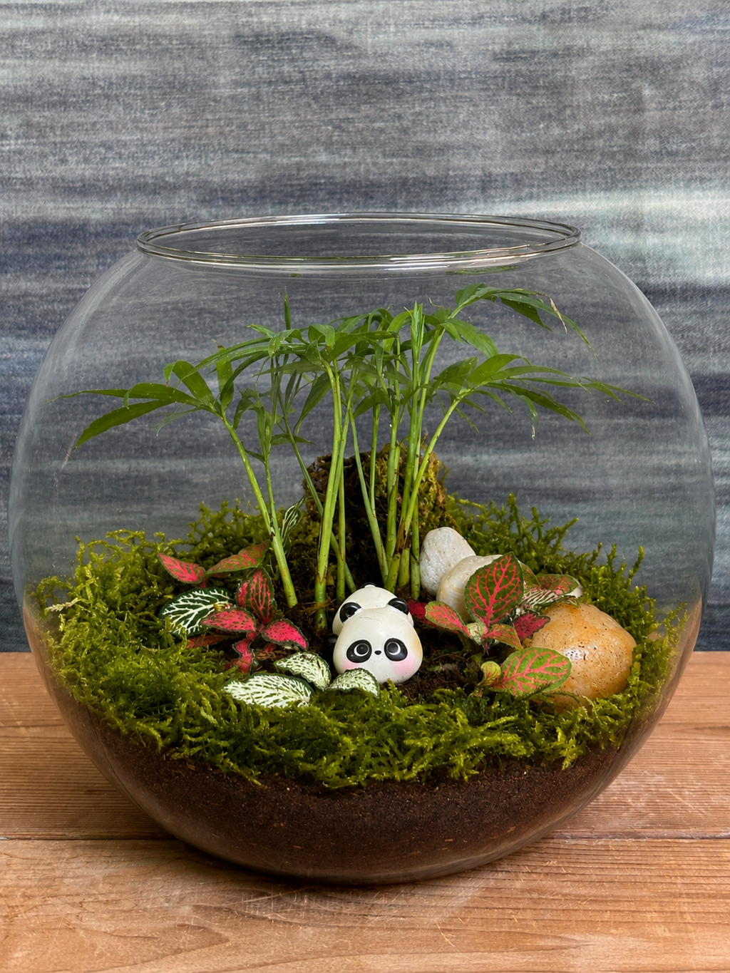 Bamboo Panda Sanctuary Terrarium from Planterie, a handcrafted Drum glass terrarium featuring adorable panda miniature nestled with dwarf palm creating a tranquil bamboo forest scene in a cozy indoor desktop micro-garden, perfect as terrarium in Delhi for plant gifts in Delhi, desktop indoor plants and plant gifting near me Delhi