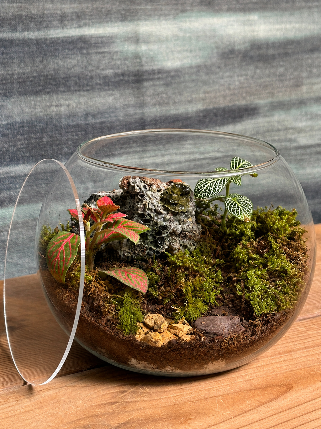 Glass Canopy Whisper fish bowl terrarium from Planterie, available as indoor plants online India and terrarium gifts India, perfect for plant gifting in Delhi, custom terrarium gifts in Delhi, premium plant gifts in India and bulk terrarium gifts for events in Delhi