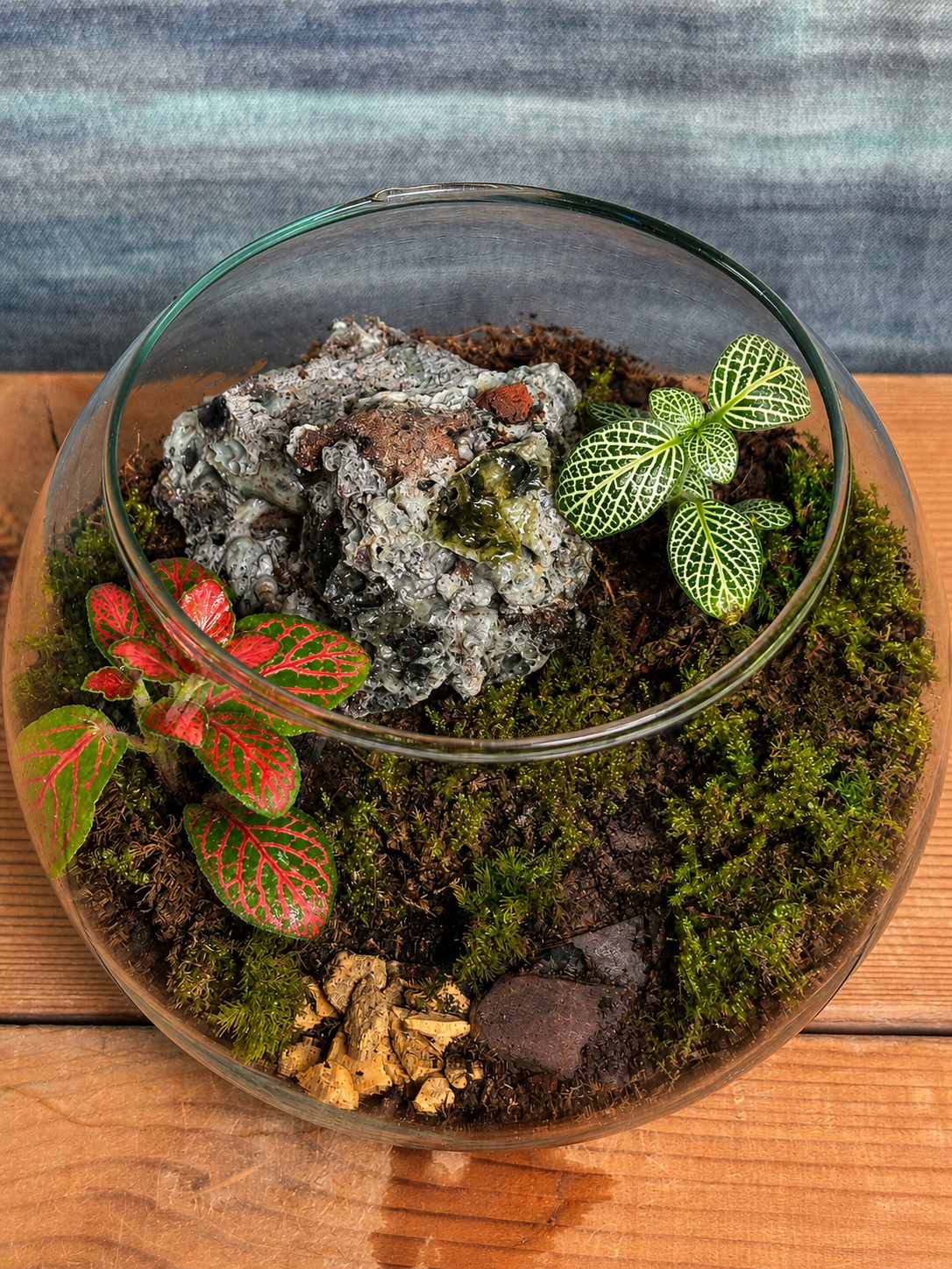 Handcrafted Canopy Whisper glass terrarium from Planterie plant studio in Delhi, a unique fish bowl micro-garden with live plants ideal as glass terrarium for gifting, tabletop plants for gifting, indoor plants for gifting and indoor plant gifts for housewarming in Delhi