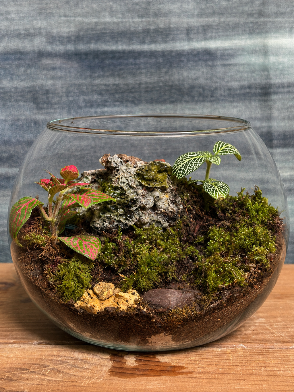 Canopy Whisper Terrarium from Planterie, a handcrafted glass fish bowl terrarium featuring live plants in a cozy indoor desktop micro-garden, perfect as terrarium in Delhi for plant gifts in Delhi, desktop indoor plants and plant gifting near me Delhi