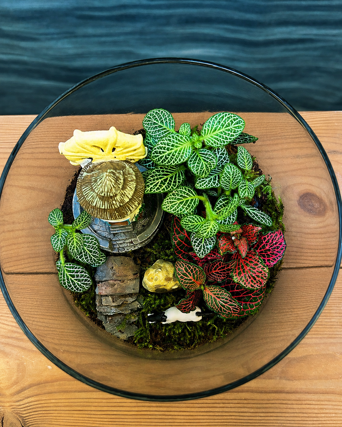 Cottage Garden desktop terrarium featuring fittonia, cottage and white horse from Planterie cafe in south Delhi, a low maintenance indoor plant for beginners and one of the best indoor plants for homes in Delhi, perfect for indoor plants for low light in Indian homes, best plants for AC rooms in India and indoor plants online India with easy how to care for terrarium in Indian weather and plant care tips India