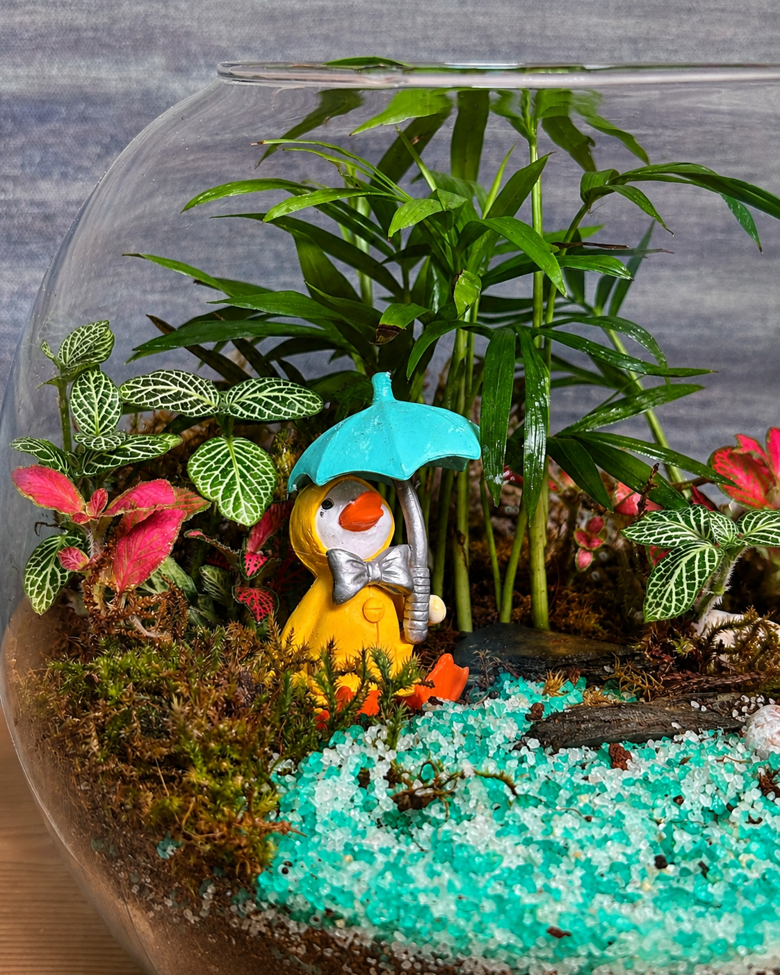 Donald Duck Terrarium with Donald Duck animal miniature from Planterie, perfect for plant styling ideas for small Delhi apartments, centre table plant arrangement in Delhi and minimal plant arrangements for modern homes, with how to keep indoor plants alive in India and how to care for terrarium in Indian weather with Plant care tips India