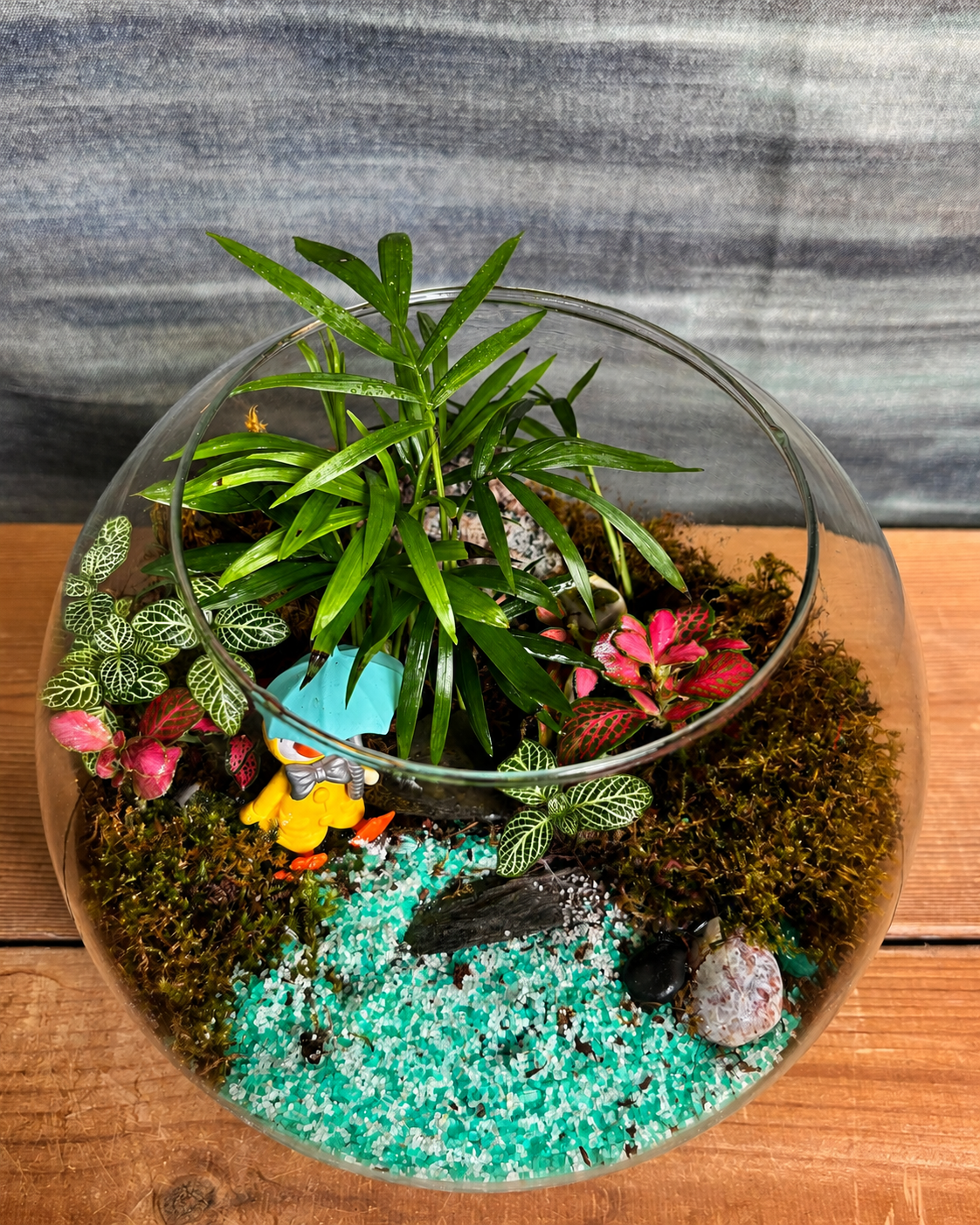 Glass Donald Duck 8-inch Fish Bowl terrarium from Planterie, available as indoor plants online India and terrarium gifts India, perfect for plant gifting in Delhi, custom terrarium gifts in Delhi, premium plant gifts in India and bulk terrarium gifts for events in Delhi
