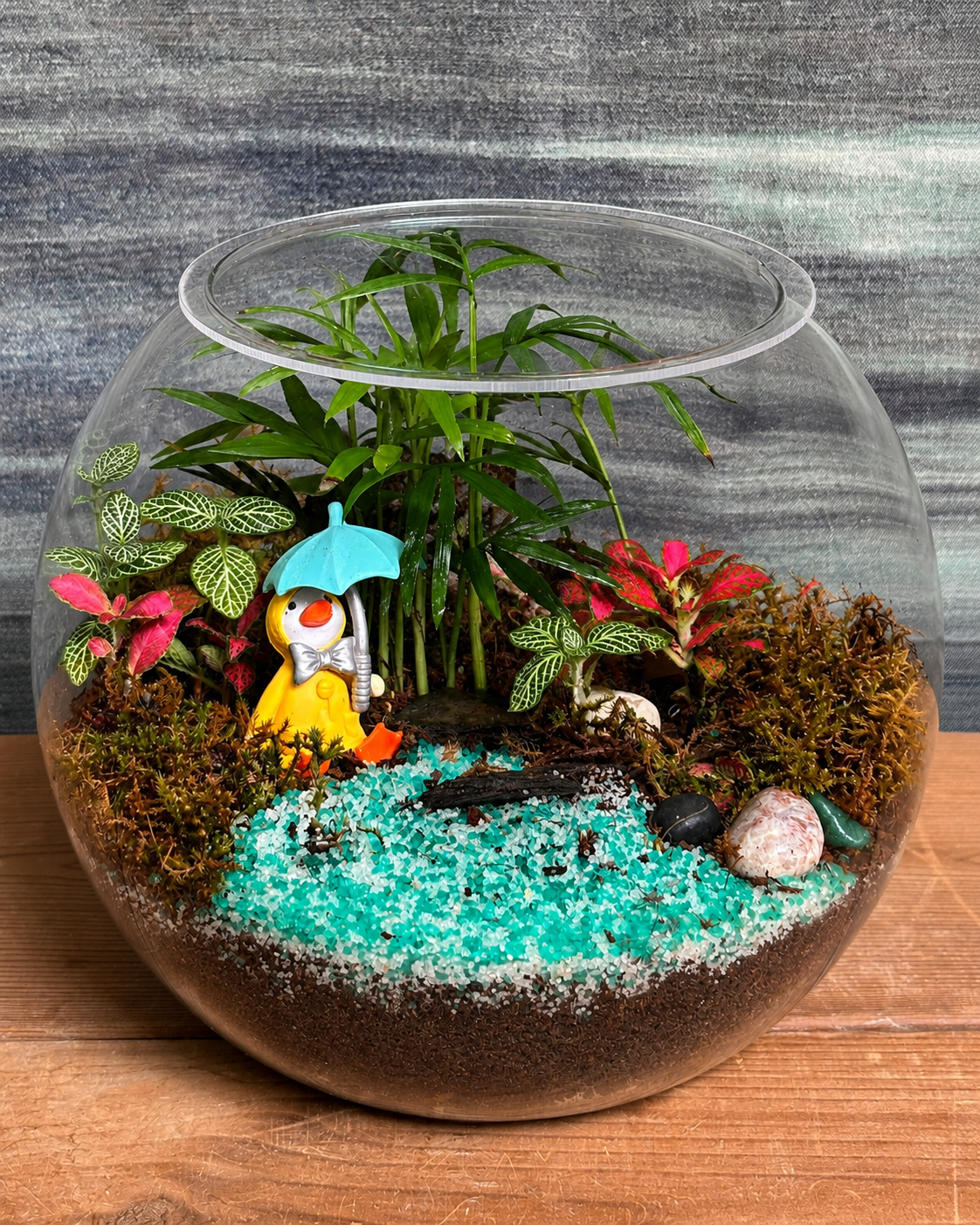 Donald Duck Terrarium from Planterie, a handcrafted 8-inch Fish Bowl glass terrarium featuring the charming Donald Duck miniature and live plants in a cozy indoor desktop micro-garden, perfect as terrarium in Delhi for plant gifts in Delhi, desktop indoor plants and plant gifting near me Delhi