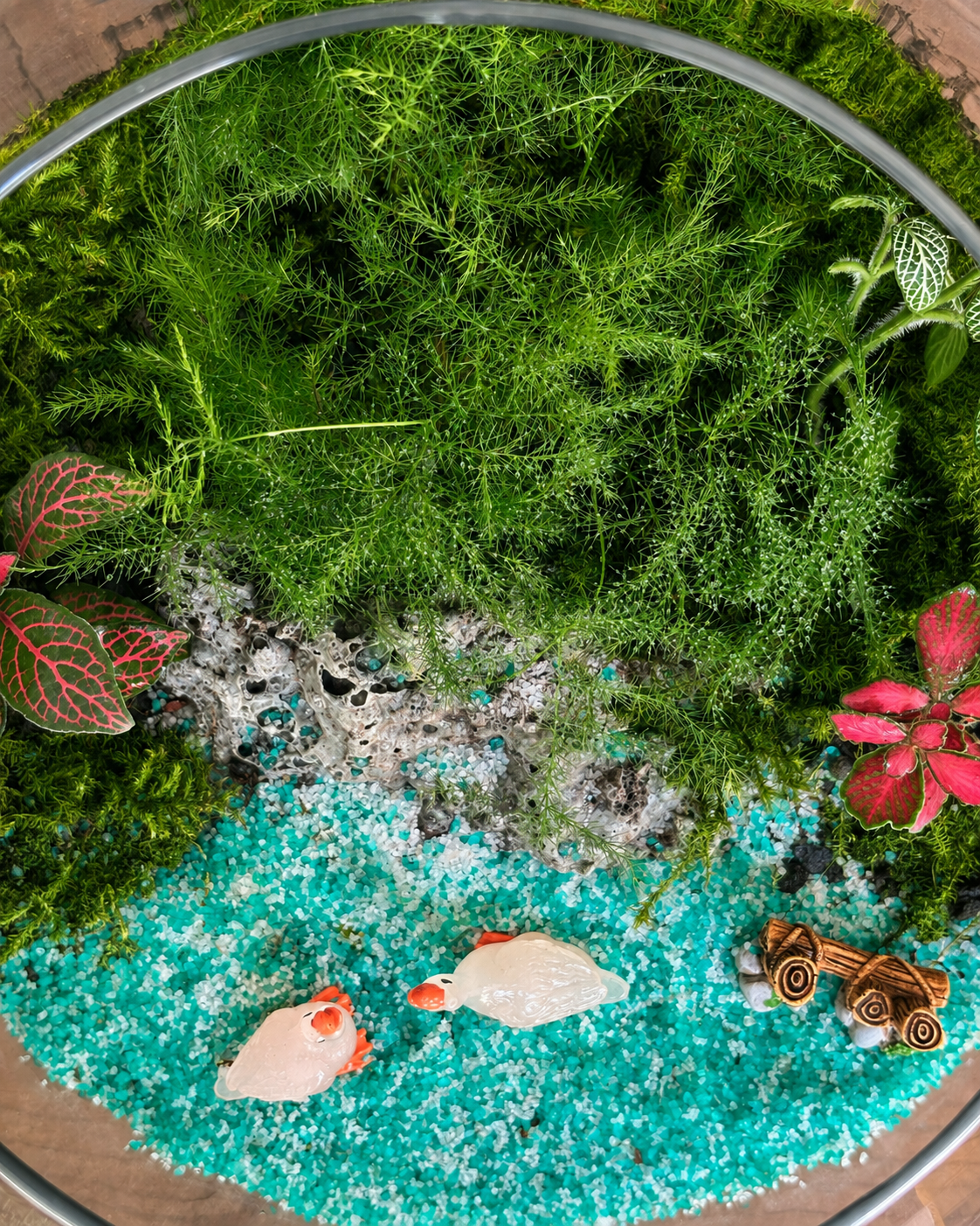 Glass Duck Lake Fish Bowl terrarium from Planterie, available as indoor plants online India and terrarium gifts India, perfect for plant gifting in Delhi, custom terrarium gifts in Delhi, premium plant gifts in India and bulk terrarium gifts for events in Delhi