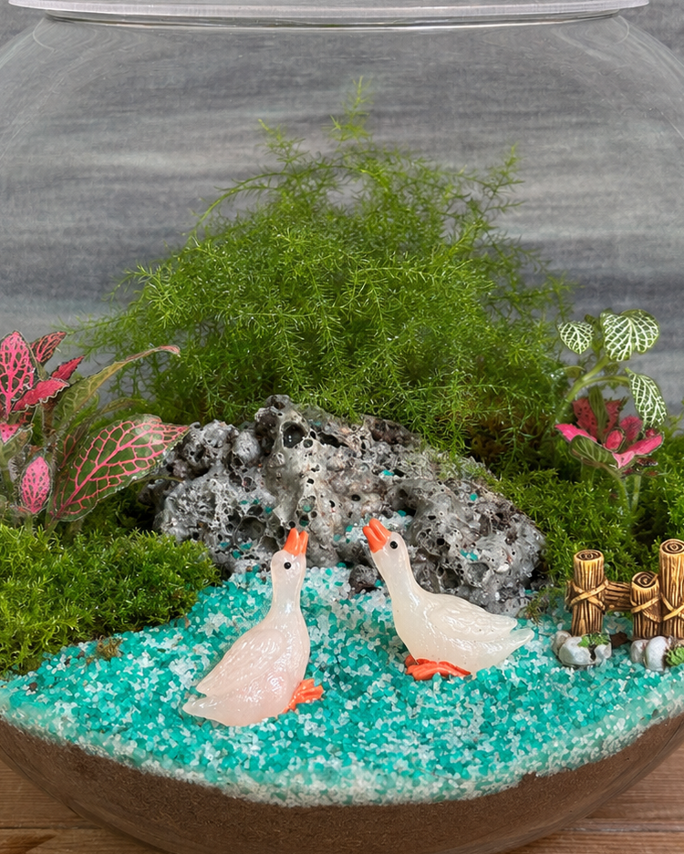Duck Lake Terrarium for bright spots away from harsh sunlight from Planterie cafe in south Delhi, a low maintenance indoor plant needing minimal water, perfect for indoor plants for low light in Indian homes, best plants for AC rooms in India and indoor plants online India with plant care tips India and how to care for terrarium in Indian weather
