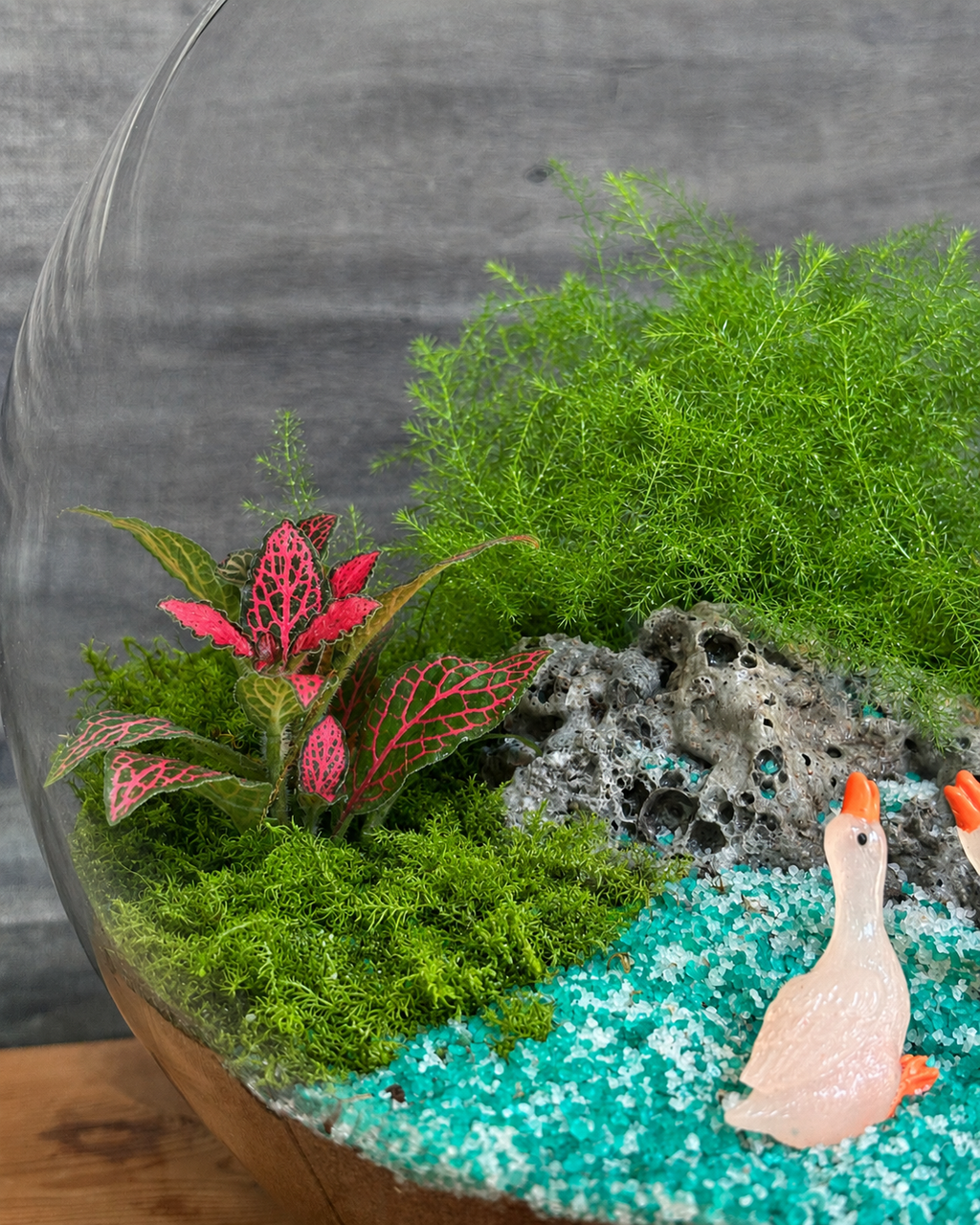 Duck Lake Terrarium featuring a tiny weather system with 2 duck miniatures and lake scene from Planterie, a tropical micro-climate that needs surprisingly little water, perfect for low maintenance indoor plants for beginners, indoor plants for low light in Indian homes and best plants for AC rooms in India, with care tips for open jar spray lightly when soil looks dry