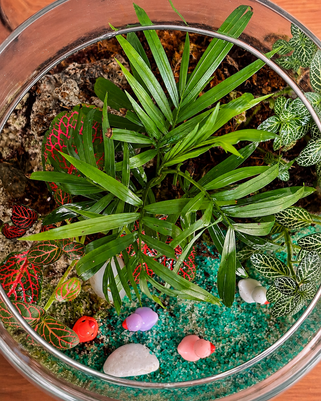 Duckling Pond Terrarium with baby duck animal miniatures from Planterie, perfect for plant styling ideas for small Delhi apartments, centre table plant arrangement in Delhi and minimal plant arrangements for modern homes, with how to keep indoor plants alive in India and how to care for terrarium in Indian weather with Plant care tips India