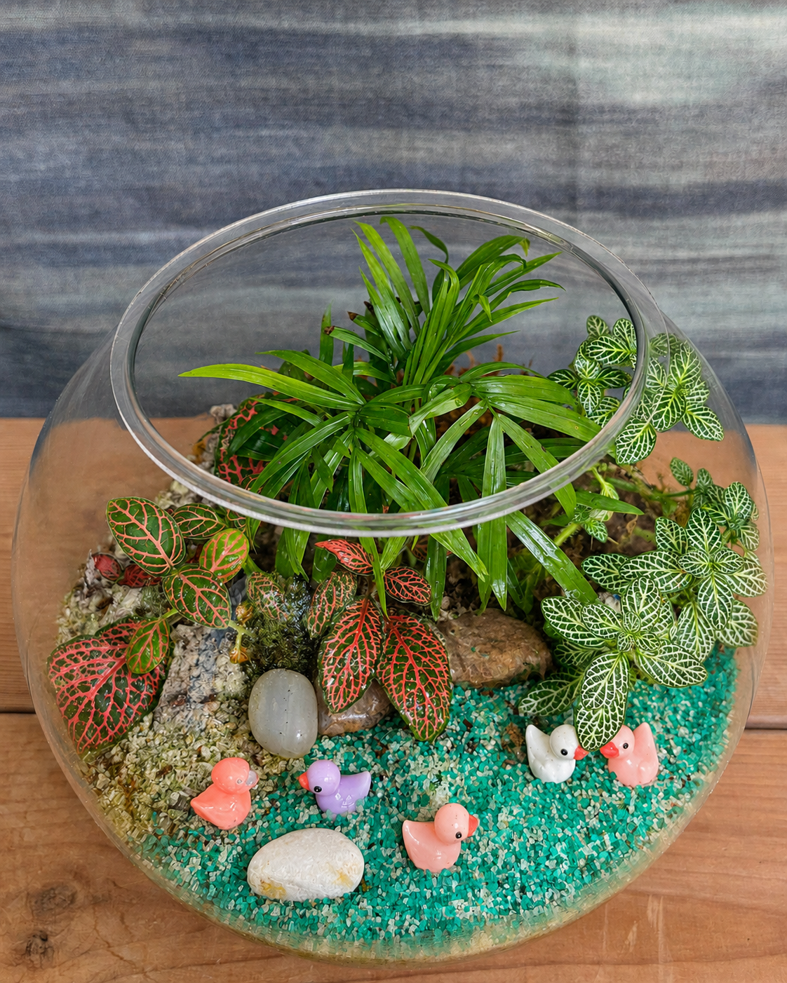 Glass Duckling Pond Fish Bowl terrarium from Planterie, available as indoor plants online India and terrarium gifts India, perfect for plant gifting in Delhi, custom terrarium gifts in Delhi, premium plant gifts in India and bulk terrarium gifts for events in Delhi