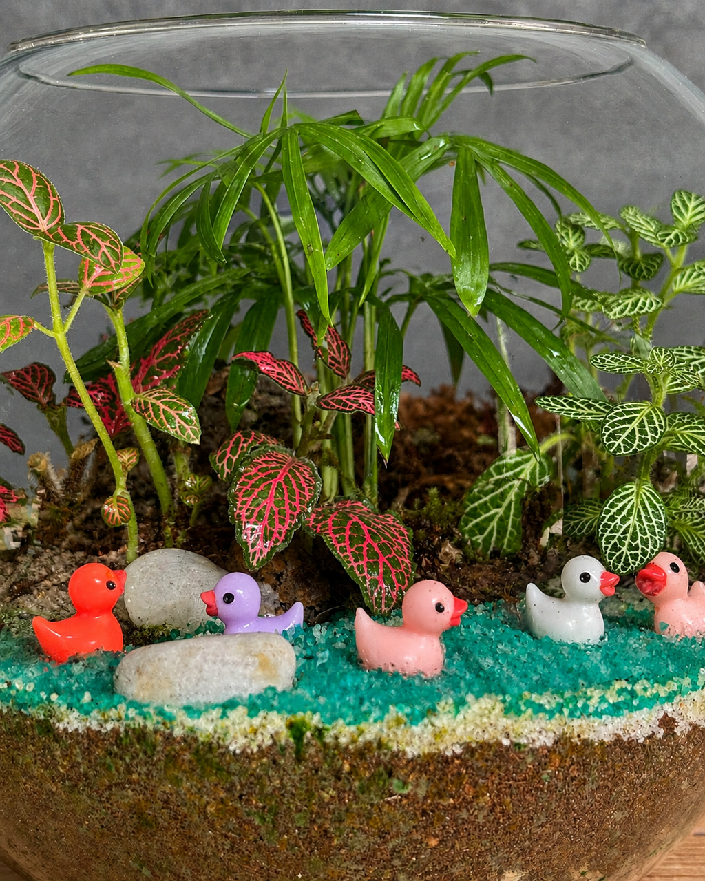 Handcrafted Duckling Pond Fish Bowl terrarium from Planterie plant studio in Delhi, a unique glass micro-garden with cute baby duck miniatures and live plants ideal as glass terrarium for gifting, tabletop plants for gifting, indoor plants for gifting and indoor plant gifts for housewarming in Delhi