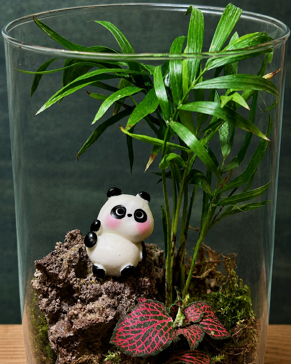 Closed glass terrarium with dwarf palm, fittonia and panda moss from Planterie plant studio in Delhi, a tropical miniature garden in cylinder glass ideal for glass terrarium for gifting, closed terrarium gifts in Delhi, small terrarium for bedside table and indoor plants for gifting