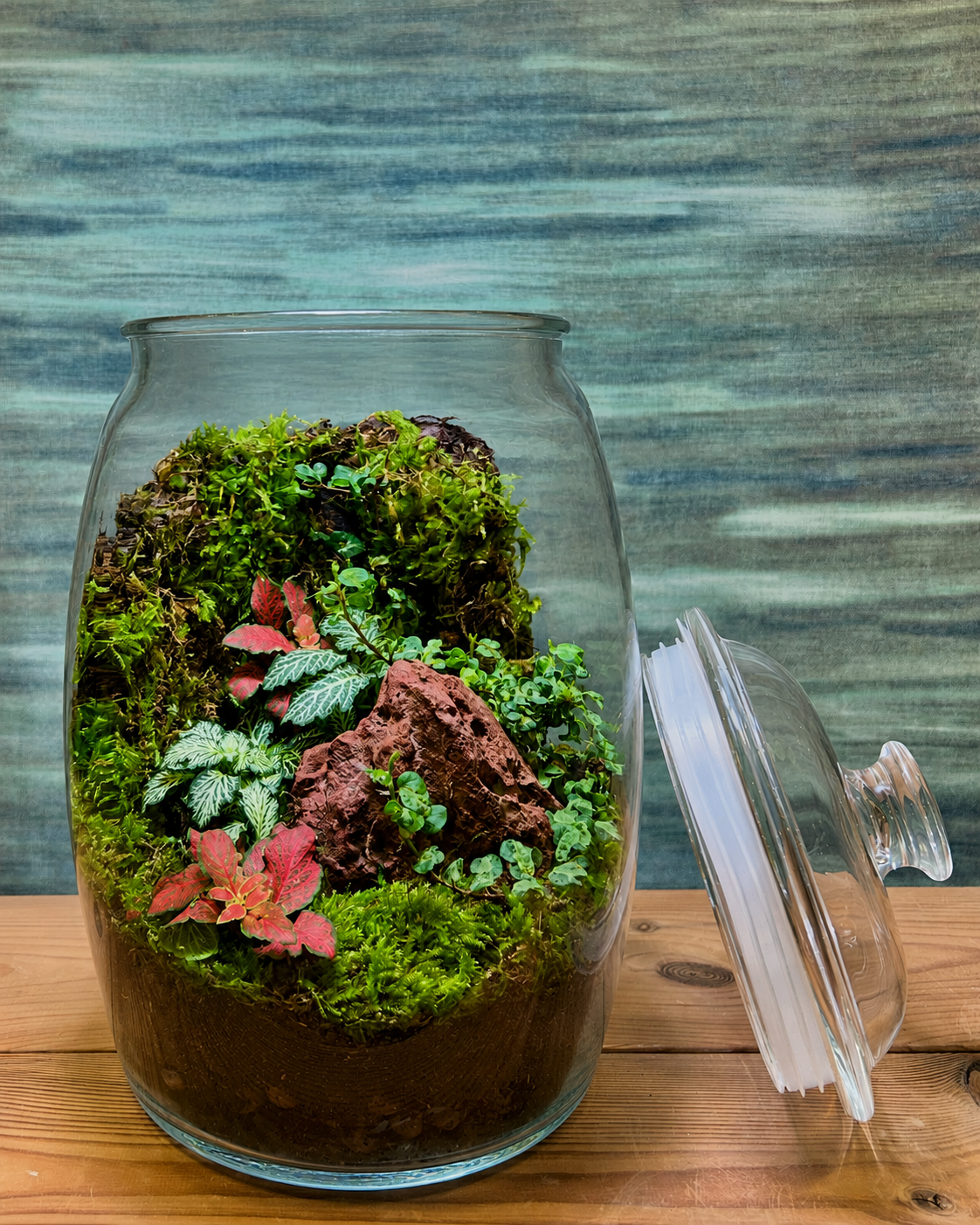 Glass terrarium with vibrant fittonia, green moss and natural stone accents from Planterie plant studio in Delhi, a peaceful miniature forest landscape ideal as glass terrarium for gifting, closed terrarium gifts in Delhi, small terrarium for bedside table and indoor plants for gifting