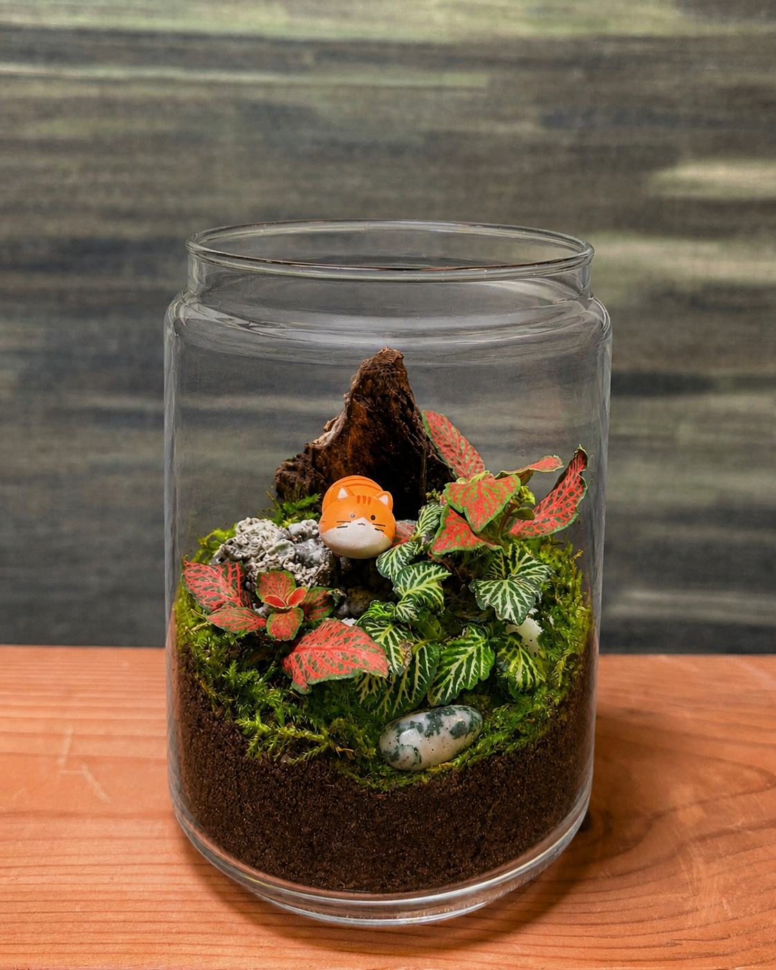 Orange Cat Garden fittonia terrarium from Planterie cafe in south Delhi, a charming table top plant arrangement and terrarium in Delhi for minimal plant arrangements for modern homes and plant styling ideas for small Delhi apartments