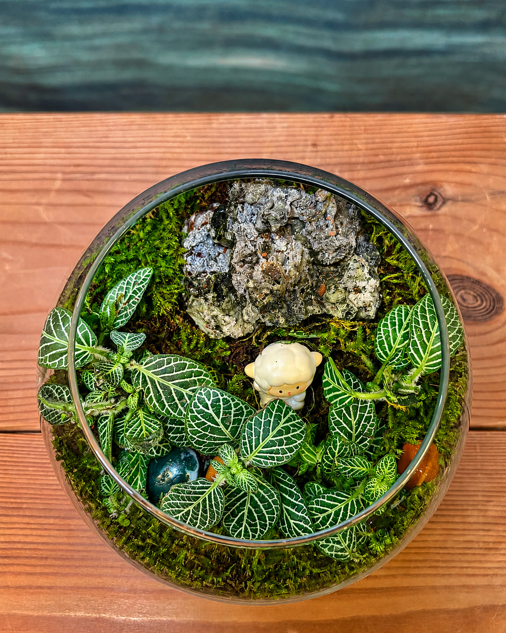 Fittonia and sheep miniature glass terrarium from Planterie cafe in south Delhi, a whimsical pastoral scene in a closed terrarium for gifting, ideal indoor plants for gifting, glass terrarium for gifting and small terrarium for bedside table