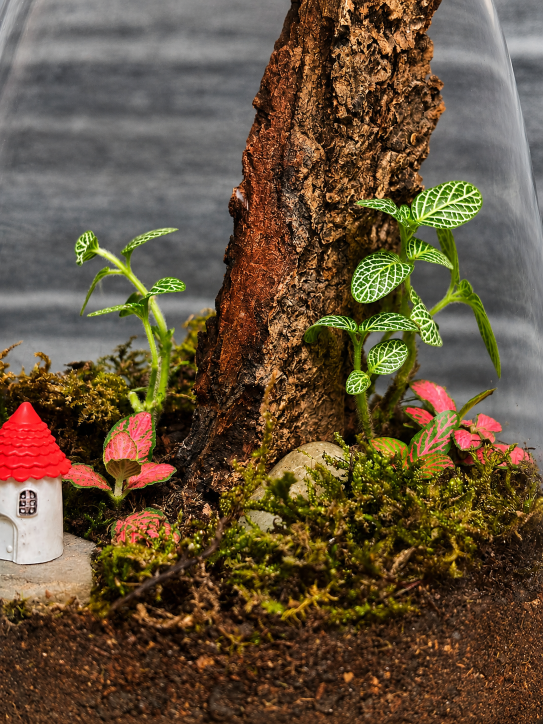 Glass Forest Cottage decanter terrarium from Planterie, available as indoor plants online India and terrarium gifts India, perfect for plant gifting in Delhi, custom terrarium gifts in Delhi, premium plant gifts in India and bulk terrarium gifts for events in Delhi