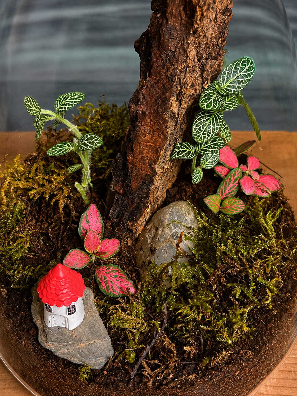 Forest Cottage Terrarium with structure miniature (cottage/building) in decanter glass from Planterie, a charming miniature world perfect for centre table plant arrangement in Delhi, minimal plant arrangements for modern homes and plant styling ideas for small Delhi apartments